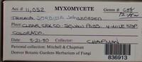 Image Associated With the Occurence